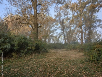 image to crop