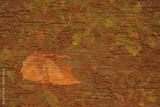 preview original