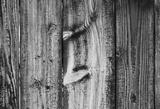 preview bw