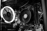 preview bw