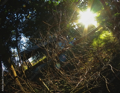 image to crop