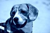 preview cold