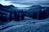 preview cold