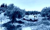 preview cold