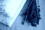 preview cold