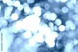 preview cold