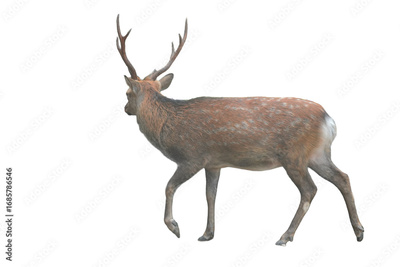 image to crop