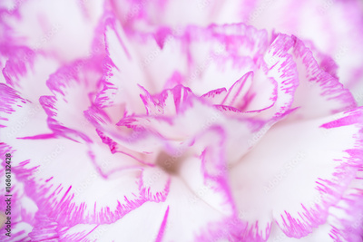 image to crop