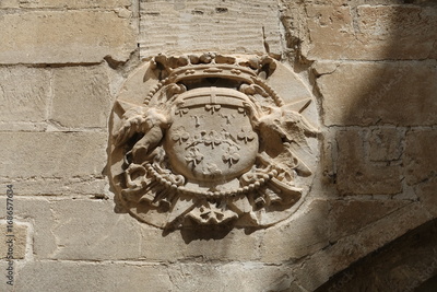 image to crop