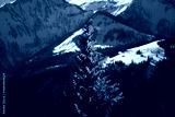 preview cold