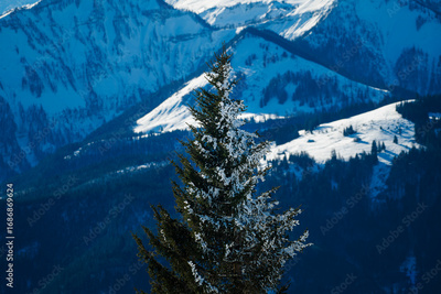 image to crop