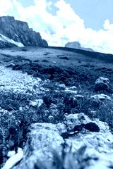 preview cold