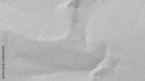 preview bw