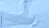 preview cold