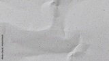 preview original