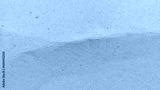 preview cold