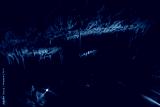 preview cold
