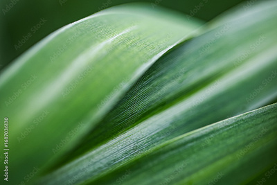 image to crop