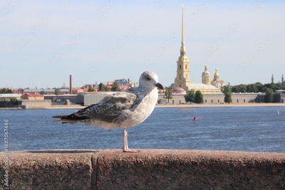 image to crop