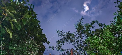 image to crop