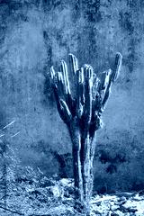 preview cold