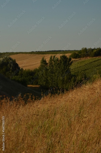 image to crop