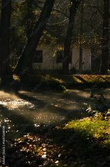 preview original