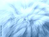 preview cold