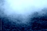 preview cold