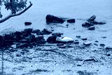 preview cold