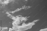 preview bw