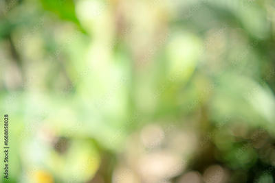 image to crop