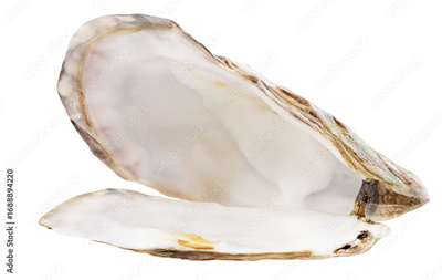 image to crop
