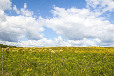 image to crop