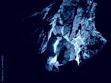preview cold