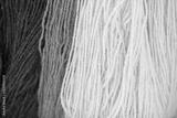 preview bw