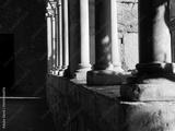 preview bw