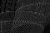 preview bw