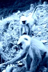 preview cold
