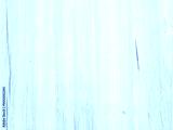 preview cold