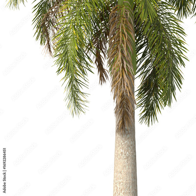 image to crop