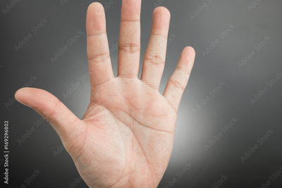 image to crop