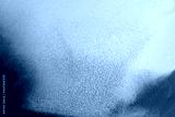 preview cold