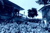 preview cold