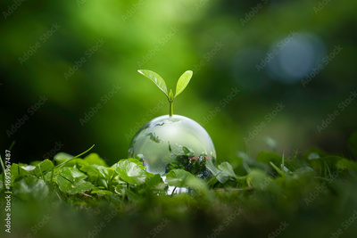 image to crop