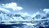preview cold