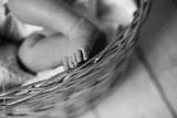 preview bw