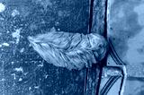 preview cold