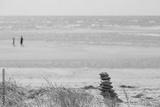 preview bw