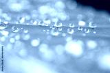 preview cold